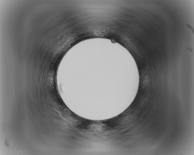 X0000102250595200808221354