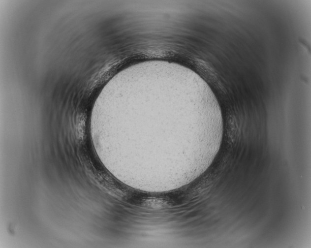X0000102250596200808221354
