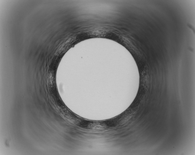 X0000102250597200808221354