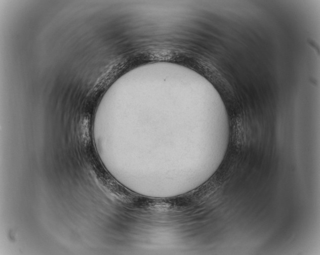 X0000102250598200808221354