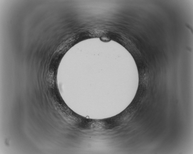 X0000102250599200808221354