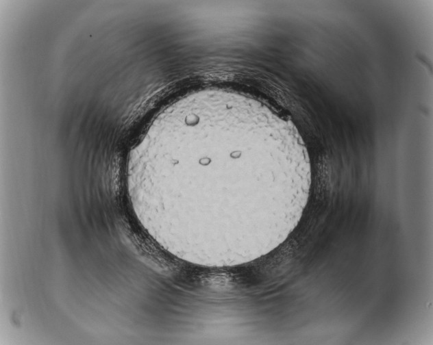 X0000102250600200808221354