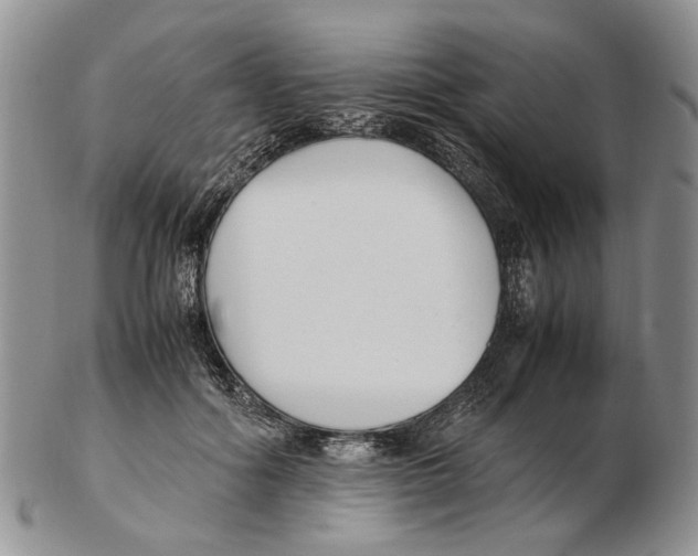 X0000102250602200808221354