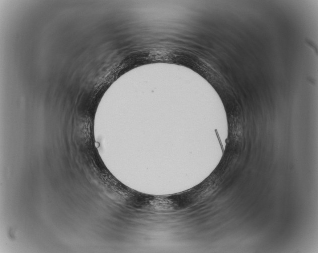 X0000102250603200808221354