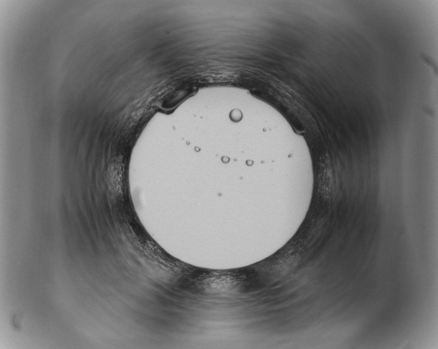 X0000102250604200808221354