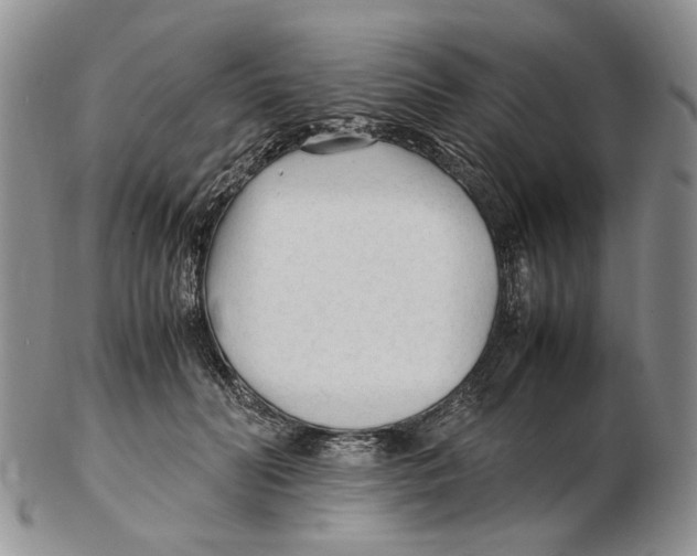 X0000102250606200808221354
