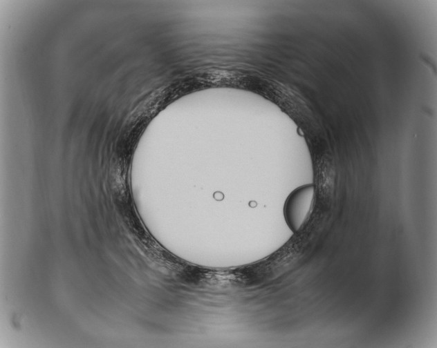 X0000102250607200808221354