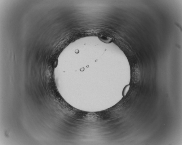 X0000102250608200808221354