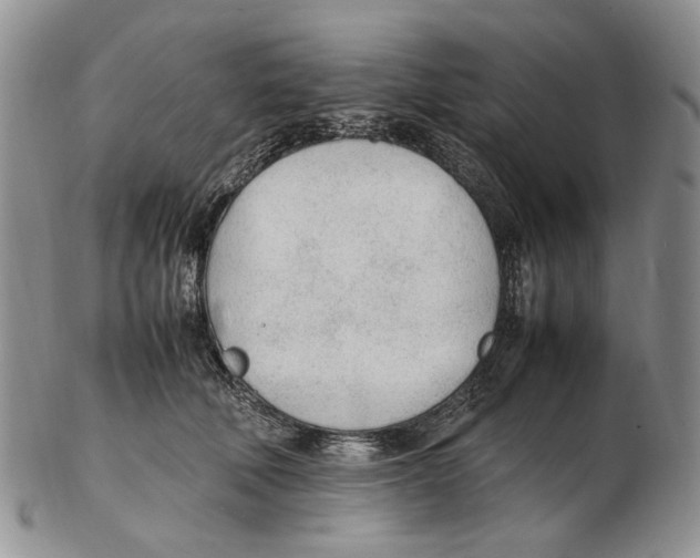 X0000102250610200808221354