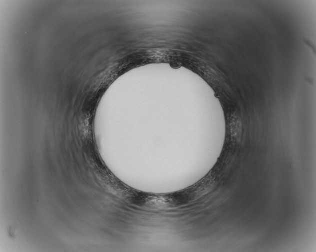 X0000102250611200808221354