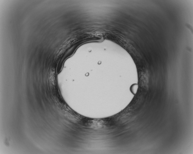 X0000102250612200808221354