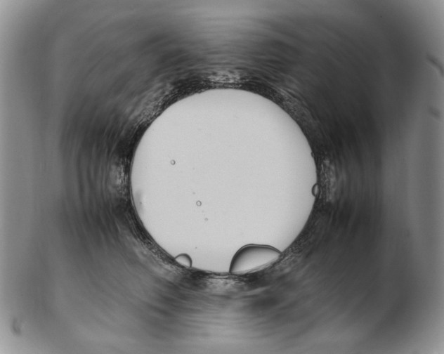 X0000102250614200808221354