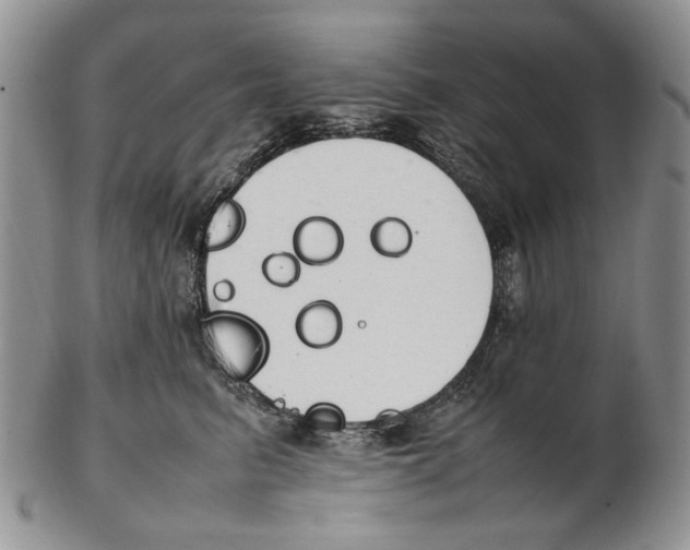 X0000102250615200808221354