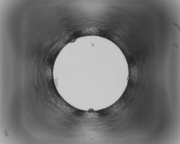X0000102250617200808221354