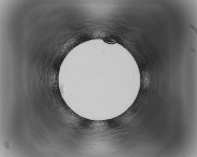 X0000102250619200808221354