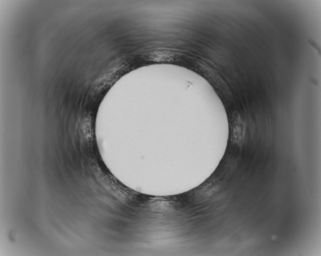 X0000102250620200808221354