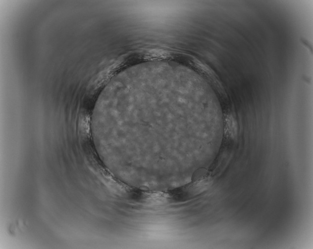 X0000102250621200808221354