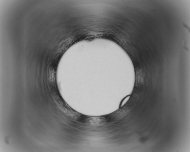 X0000102250623200808221354