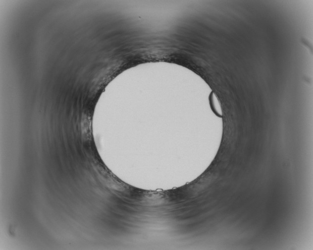 X0000102250624200808221354
