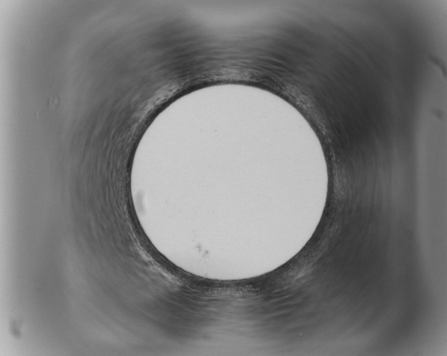 X0000102250625200808221353