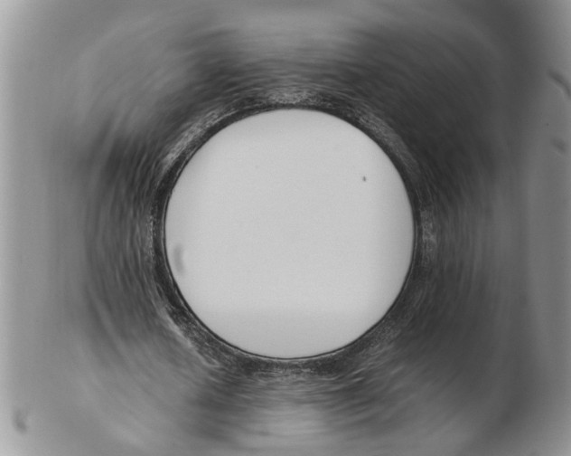 X0000102250626200808221353