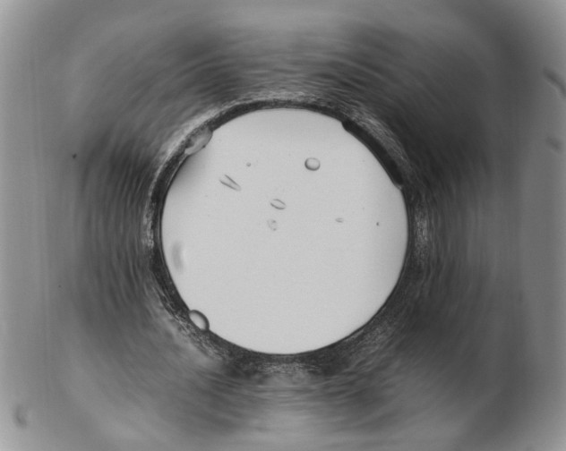 X0000102250628200808221353