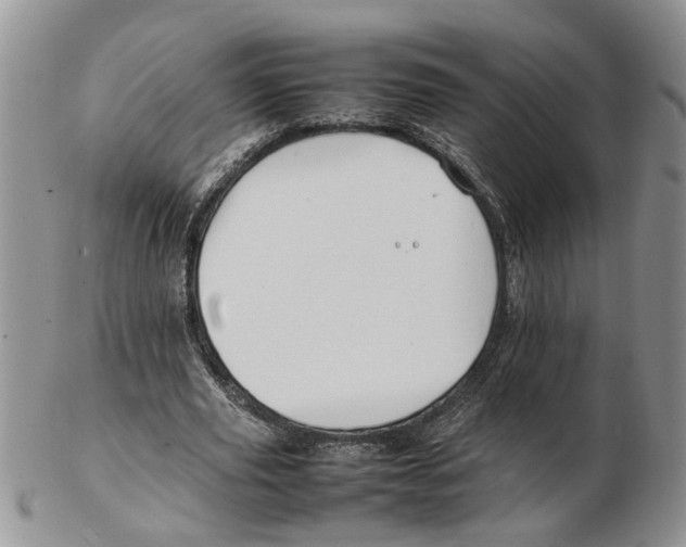 X0000102250629200808221353