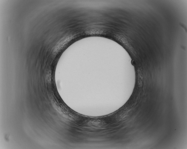 X0000102250631200808221353