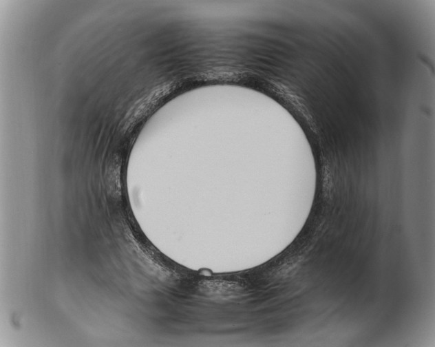 X0000102250633200808221353