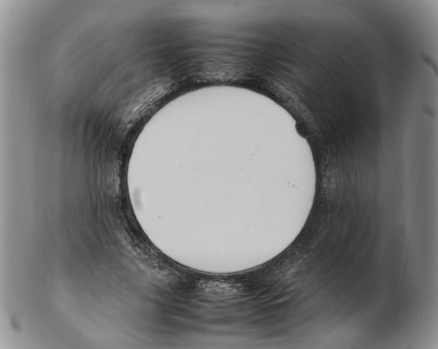 X0000102250635200808221353