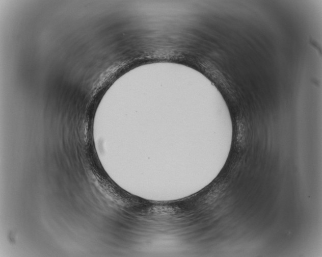 X0000102250636200808221353