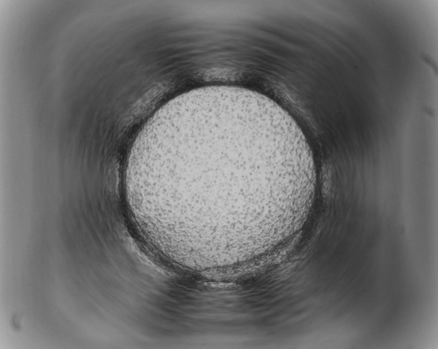 X0000102250637200808221353