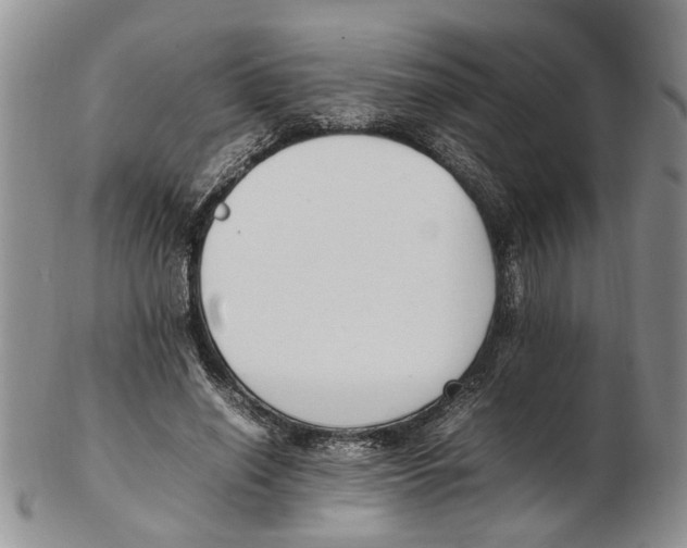 X0000102250638200808221353