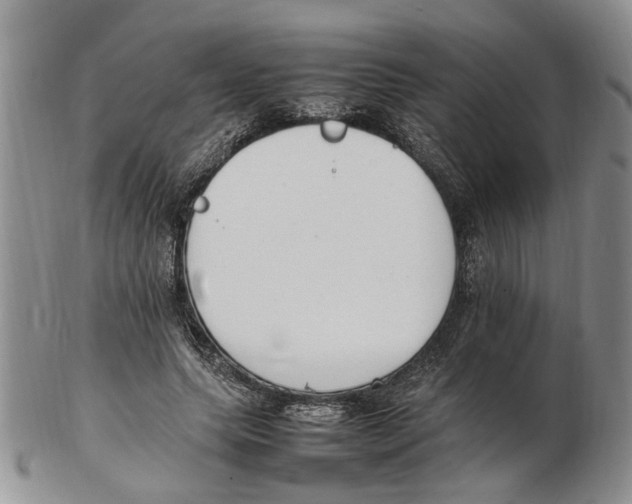 X0000102250639200808221353