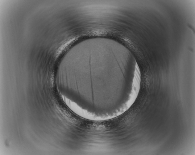 X0000102250640200808221353