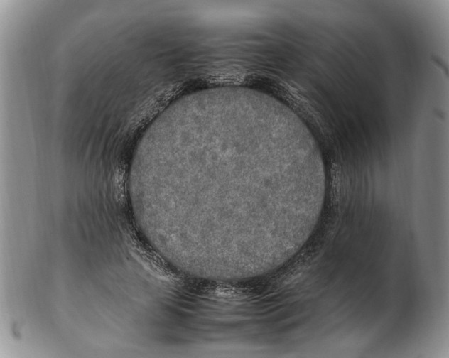 X0000102250641200808221353