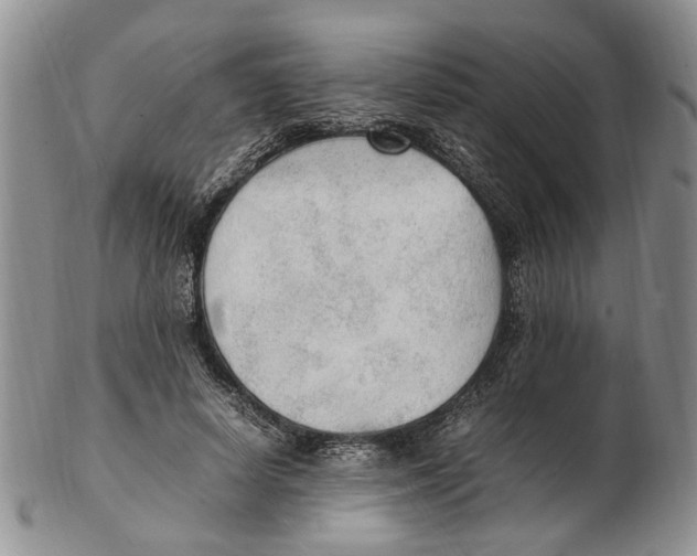 X0000102250642200808221354