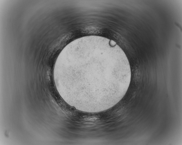 X0000102250643200808221354