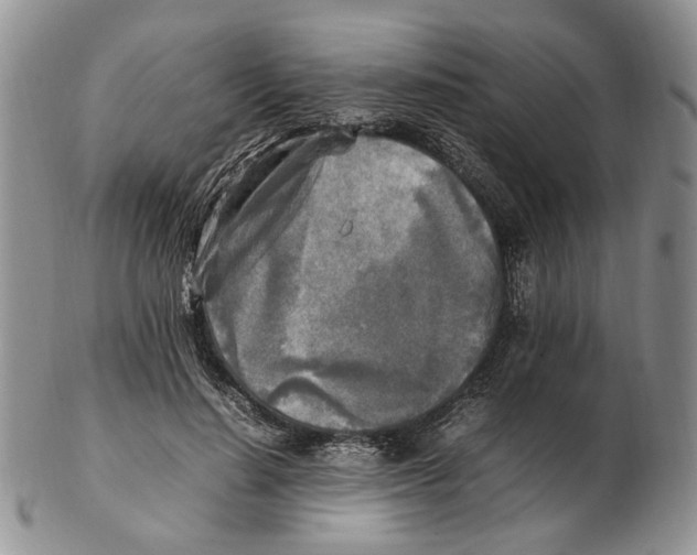 X0000102250644200808221354