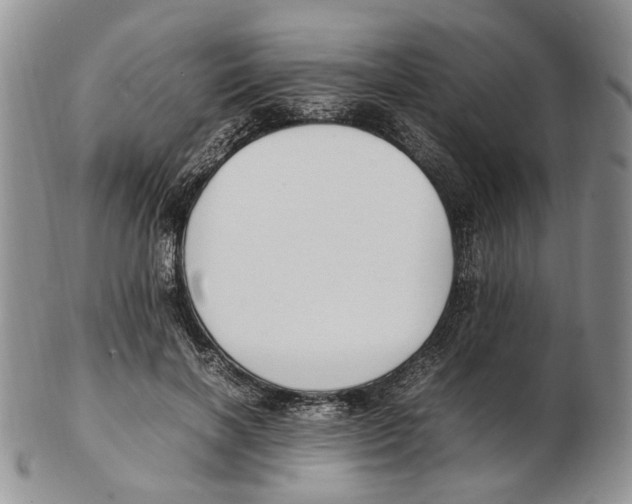 X0000102250646200808221354