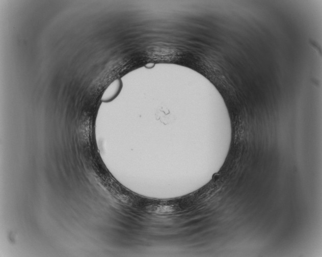 X0000102250647200808221354