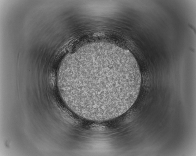 X0000102250648200808221354