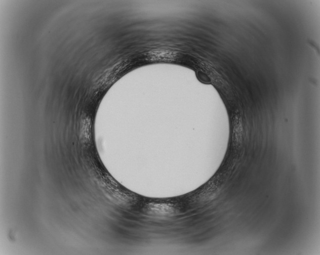 X0000102250649200808221354