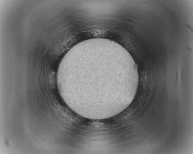 X0000102250650200808221354