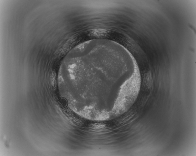 X0000102250651200808221354