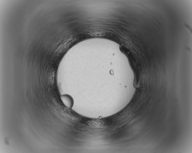 X0000102250652200808221354