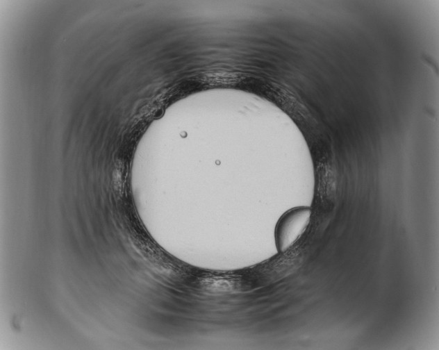 X0000102250655200808221354