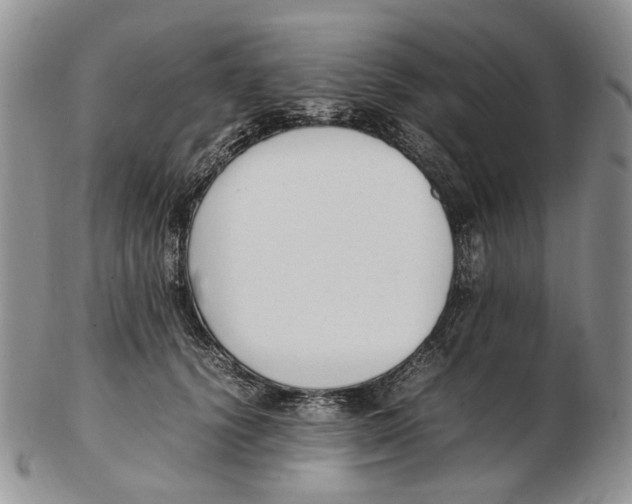 X0000102250656200808221354