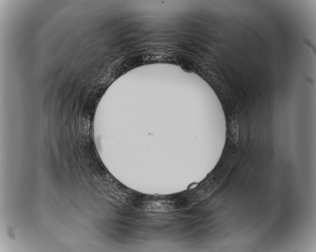 X0000102250657200808221354