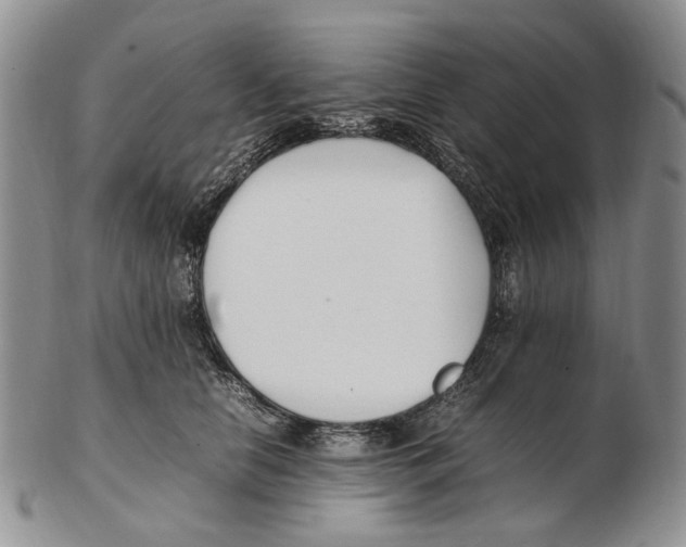 X0000102250658200808221354